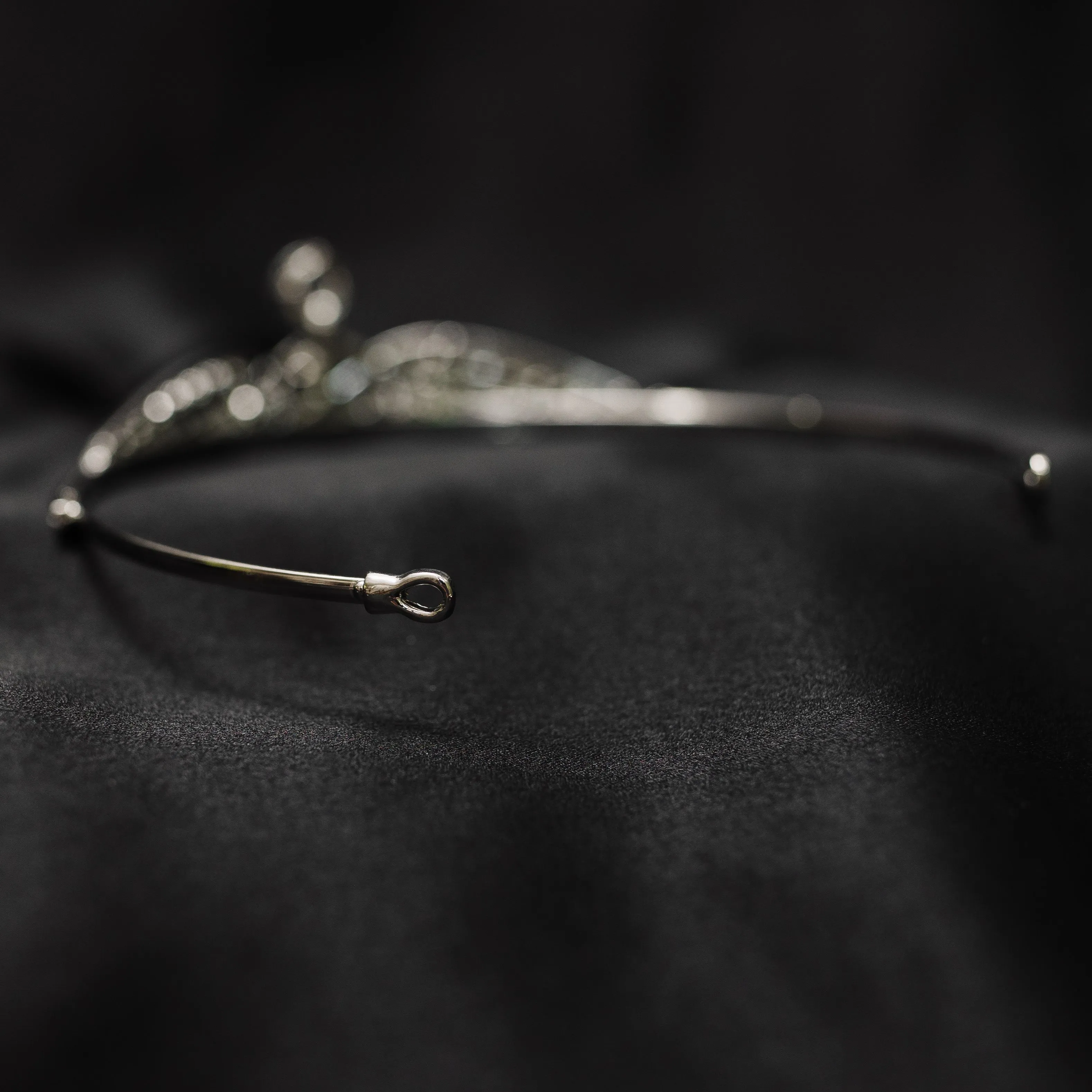 Lily's Tiara