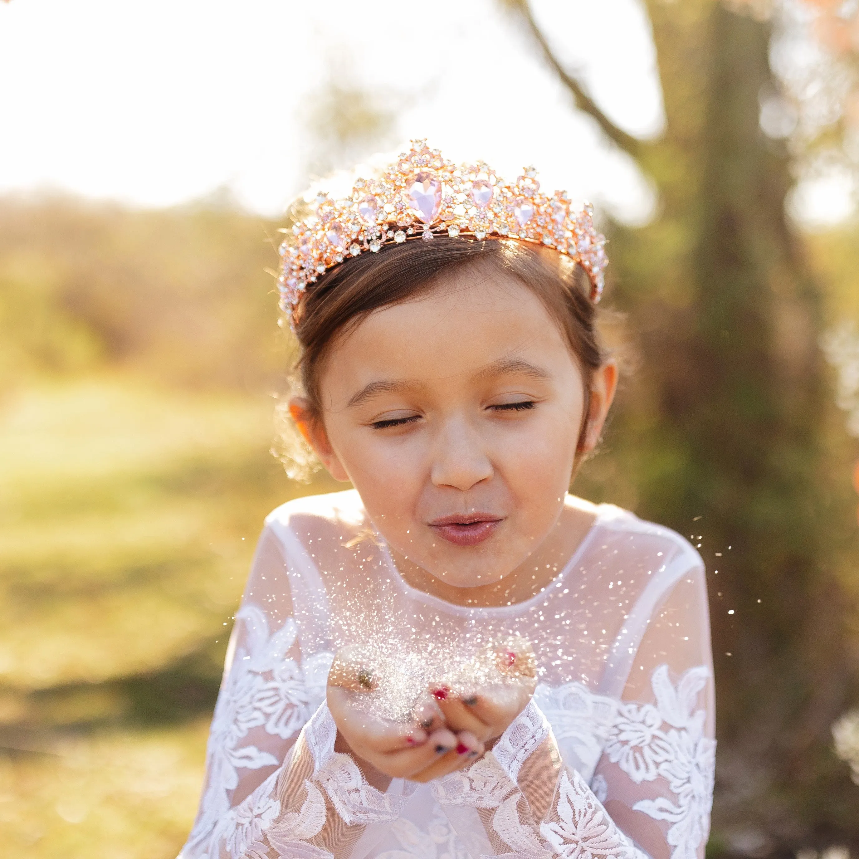 Michelle’s Tiara in Rose Gold